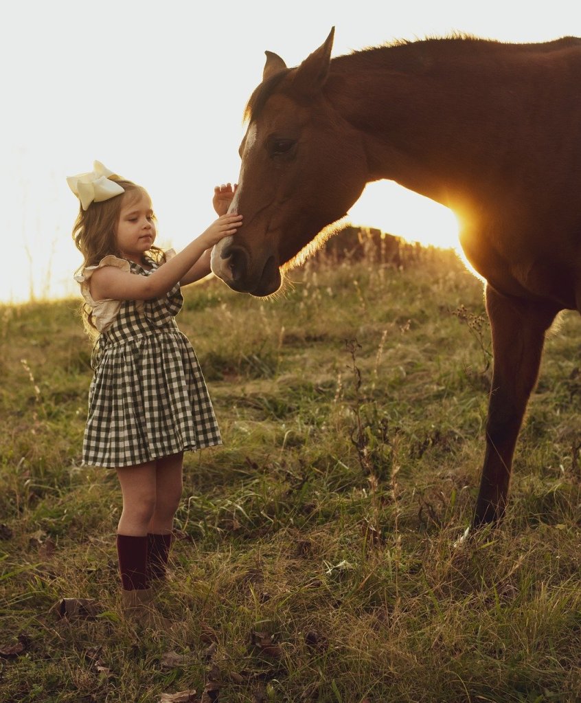 cheval et petite fille